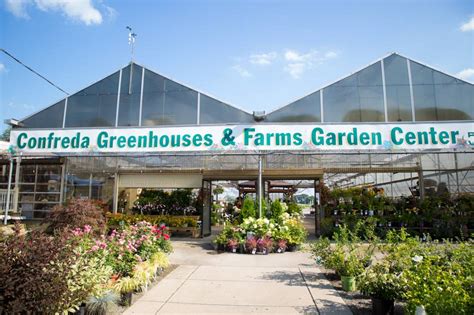Confreda greenhouses & farms photos. Things To Know About Confreda greenhouses & farms photos. 